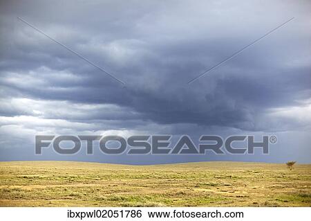 "Dramatic clouds over the Serengeti, Tanzania, Africa" View Large Photo Image Stock Photograph - "Dramatic clouds over the Serengeti, Tanzania, Africa". Fotosearch