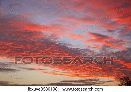 "Dramatic red sky at sunset, Oberalsterniederung nature reserve, Tangstedt, Schleswig-Holstein, Germany, Europe" View Large Photo Image Stock Image - "Dramatic red sky at sunset, Oberalsterniederung nature reserve, Tangstedt, Schleswig-Holstein, Germany, Europe". Fotosearch