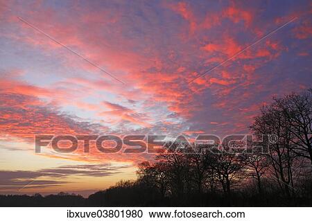 "Dramatic sky at sunset, Oberalsterniederung nature reserve, Tangstedt, Schleswig-Holstein, Germany, Europe" View Large Photo Image Stock Image - "Dramatic sky at sunset, Oberalsterniederung nature reserve, Tangstedt, Schleswig-Holstein, Germany, Europe". Fotosearch