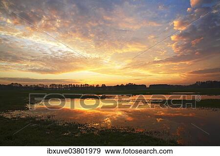 Stock Photo - "Dramatic sky at sunset with reflection in flooded meadow, Oberalsterniederung nature reserve, Tangstedt, Schleswig-Holstein, Germany, Europe". Fotosearch