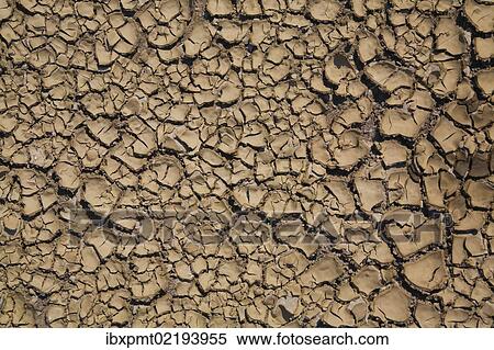 Stock Photography - "Dried and cracked mud, Quebec, Canada, North America". Fotosearch