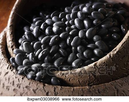Dried black beans View Large Photo Image Stock Photograph - Dried black beans. Fotosearch