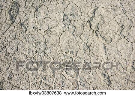 "Dried ground, Etosha Pan, Etosha National Park, Namibia, Africa" View Large Photo Image Stock Photo - "Dried ground, Etosha Pan, Etosha National Park, Namibia, Africa". Fotosearch