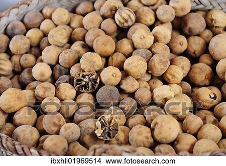 Picture - "Dried lemons, spice souk, Dubai, United Arab Emirates, Arabia, Middle East, Orient, Asia". Fotosearch