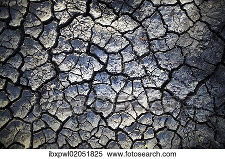 "Dried mud, Serengeti, Tanzania, Africa" View Large Photo Image Stock Photography - "Dried mud, Serengeti, Tanzania, Africa". Fotosearch