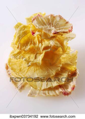 "Dried root of Yacon (Smallanthus sonchifolius, Polymnia edulis, P. sonchifolia)" View Large Photo Image Stock Image - "Dried root of Yacon (Smallanthus sonchifolius, Polymnia edulis, P. sonchifolia)". Fotosearch