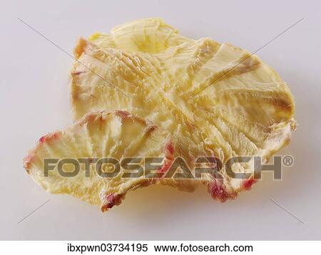 Stock Photography - "Dried root of Yacon (Smallanthus sonchifolius, Polymnia edulis, P. sonchifolia)". Fotosearch