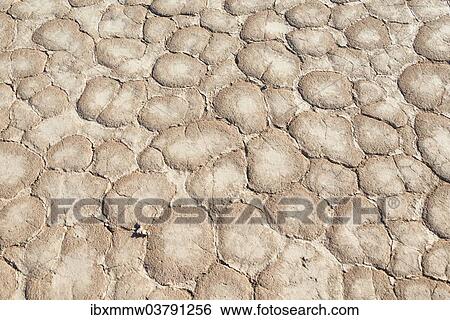 "Dried sandy ground, Dead Pan, Sossusvlei, Namib Desert, Namibia, Africa" View Large Photo Image Stock Photograph - "Dried sandy ground, Dead Pan, Sossusvlei, Namib Desert, Namibia, Africa". Fotosearch