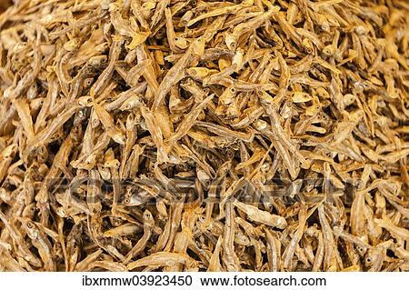 Stock Image - Dried Sardines or Pilchards (Sardina pilchardus). Fotosearch