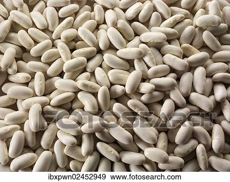Dried white beans View Large Photo Image Stock Photo - Dried white beans. Fotosearch