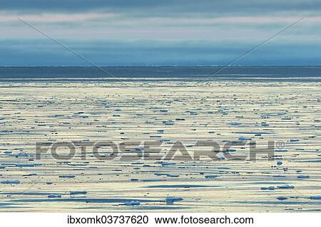 "Drifting ice floes on the edge of the pack ice, Arctic Ocean, Spitsbergen Island, Svalbard Archipelago, Svalbard and Jan Mayen, Norway, Europe" View Large Photo Image Stock Image - "Drifting ice floes on the edge of the pack ice, Arctic Ocean, Spitsbergen Island, Svalbard Archipelago, Svalbard and Jan Mayen, Norway, Europe". Fotosearch