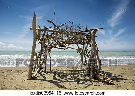 "Driftwood construction, natural beach in Albarese, Natural Park of Maremma, at Grosseto, Tuscany, Italy, Europe" View Large Photo Image Stock Photograph - "Driftwood construction, natural beach in Albarese, Natural Park of Maremma, at Grosseto, Tuscany, Italy, Europe". Fotosearch