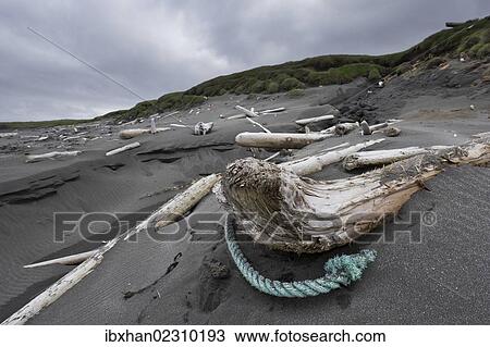 "Driftwood on the beach, hike on the Fuglabjagarnes peninsula, northeastern coast, Vopnafjoerour, Iceland, Europe" View Large Photo Image Stock Image - "Driftwood on the beach, hike on the Fuglabjagarnes peninsula, northeastern coast, Vopnafjoerour, Iceland, Europe". Fotosearch