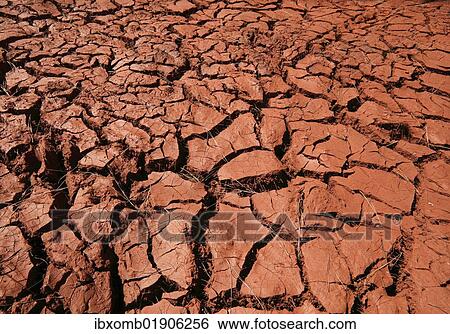 "Dry cracks in red clay, drought, Puntagorda, Camino de la Rosa, La Palma, La Isla Verde, La Isla Bonita, Canary Islands, Islas Canarias, Spain, Europe" View Large Photo Image Stock Photograph - "Dry cracks in red clay, drought, Puntagorda, Camino de la Rosa, La Palma, La Isla Verde, La Isla Bonita, Canary Islands, Islas Canarias, Spain, Europe". Fotosearch