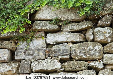 Dry stone wall overgrown with ivy View Large Photo Image Stock Image - Dry stone wall overgrown with ivy. Fotosearch