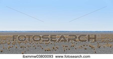 "Dry tufts of grass at the edge of the Etosha Pan, salt pan, Etosha National Park, Namibia, Africa" View Large Photo Image Stock Image - "Dry tufts of grass at the edge of the Etosha Pan, salt pan, Etosha National Park, Namibia, Africa". Fotosearch