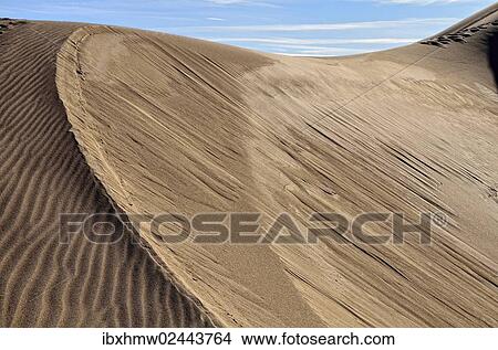 "Dune crest, sand ridge, Great Sand Dunes National Park in Mosca, Colorado, USA" View Large Photo Image Picture - "Dune crest, sand ridge, Great Sand Dunes National Park in Mosca, Colorado, USA". Fotosearch