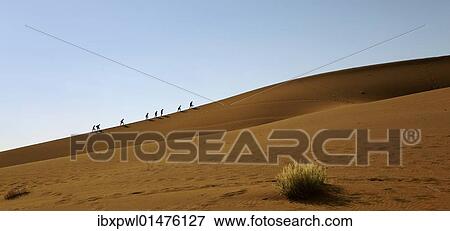 Stock Photo - "Dune, Sossusvlei, Namib-Naukluft National Park, Namibia, Africa". Fotosearch