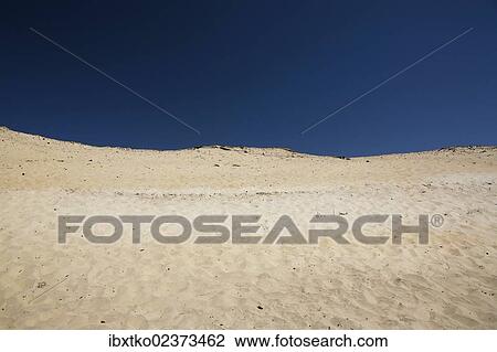 "Dunes, dune landscape near Naujac-sur-Mer, Aquitaine region, departement of Gironde, French Atlantic coast, France, Europe" View Large Photo Image Stock Image - "Dunes, dune landscape near Naujac-sur-Mer, Aquitaine region, departement of Gironde, French Atlantic coast, France, Europe". Fotosearch