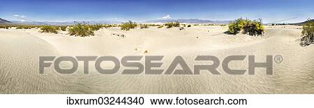 "Dunes, Mesquite Sand Dunes, Death Valley, California, United States, North America" View Large Photo Image Stock Image - "Dunes, Mesquite Sand Dunes, Death Valley, California, United States, North America". Fotosearch