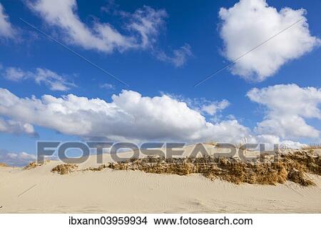 "Dunes, Sankt Peter-Ording, Eiderstedt peninsula, Schleswig-Holstein, Germany, Europe" View Large Photo Image Picture - "Dunes, Sankt Peter-Ording, Eiderstedt peninsula, Schleswig-Holstein, Germany, Europe". Fotosearch
