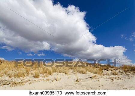 "Dunes, Sankt Peter-Ording, Eiderstedt peninsula, Schleswig-Holstein, Germany, Europe" View Large Photo Image Stock Image - "Dunes, Sankt Peter-Ording, Eiderstedt peninsula, Schleswig-Holstein, Germany, Europe". Fotosearch