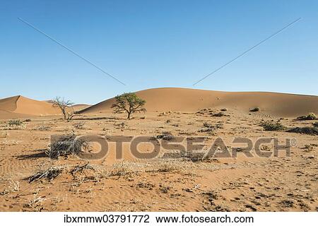"Dunes, Sossusvlei, Namib-Skeleton Coast National Park, Namibia, Africa" View Large Photo Image Stock Image - "Dunes, Sossusvlei, Namib-Skeleton Coast National Park, Namibia, Africa". Fotosearch
