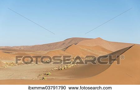 "Dunes, Sossusvlei, Namib-Skeleton Coast National Park, Namibia, Africa" View Large Photo Image Stock Image - "Dunes, Sossusvlei, Namib-Skeleton Coast National Park, Namibia, Africa". Fotosearch