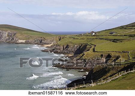"Dunmore Head, Dingle Peninsula, County Kerry, Ireland, British Isles, Europe" View Large Photo Image Stock Photograph - "Dunmore Head, Dingle Peninsula, County Kerry, Ireland, British Isles, Europe". Fotosearch