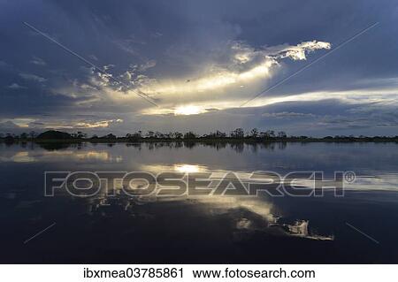 "Dusk at a lake-like widened part of the Amazon or Rio Solimoes, Mamiraua Sustainable Development Reserve, Manaus, Amazonas, Brazil, South America" View Large Photo Image Stock Image - "Dusk at a lake-like widened part of the Amazon or Rio Solimoes, Mamiraua Sustainable Development Reserve, Manaus, Amazonas, Brazil, South America". Fotosearch
