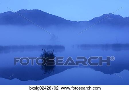 "Dusk in the bog, alpine foothills, Grundbeckenmoor marsh, Nicklheim, Bavaria, Germany, Europe" View Large Photo Image Stock Image - "Dusk in the bog, alpine foothills, Grundbeckenmoor marsh, Nicklheim, Bavaria, Germany, Europe". Fotosearch