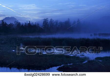 "Dusk in the bog, alpine foothills, Grundbeckenmoor marsh, Nicklheim, Bavaria, Germany, Europe" View Large Photo Image Stock Photo - "Dusk in the bog, alpine foothills, Grundbeckenmoor marsh, Nicklheim, Bavaria, Germany, Europe". Fotosearch