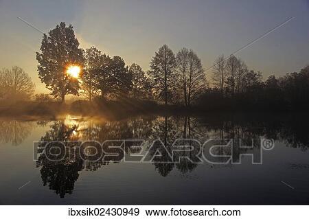 "Early morning at a small lake or pond, sunrise, trees, reflections in the water, Mittelberg, Biberach, Upper Swabia, Baden-Wuerttemberg, Germany, Europe" View Large Photo Image Stock Photo - "Early morning at a small lake or pond, sunrise, trees, reflections in the water, Mittelberg, Biberach, Upper Swabia, Baden-Wuerttemberg, Germany, Europe". Fotosearch