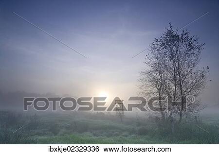 Stock Photograph - "Early morning mist in the moorland in Floegeln, Lower Saxony, Germany, Europe". Fotosearch