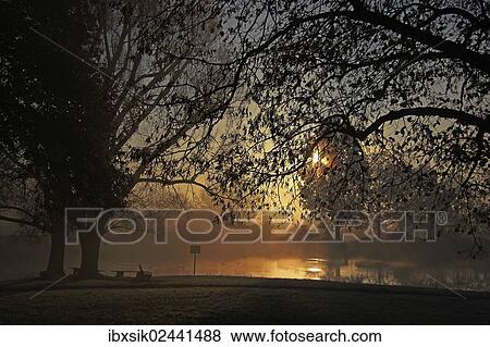 "Early morning mood at the pond, city district of Mittelberg, Stadt Biberach, Upper Swabia, Baden-Wuerttemberg, Germany, Europe" View Large Photo Image Stock Photo - "Early morning mood at the pond, city district of Mittelberg, Stadt Biberach, Upper Swabia, Baden-Wuerttemberg, Germany, Europe". Fotosearch