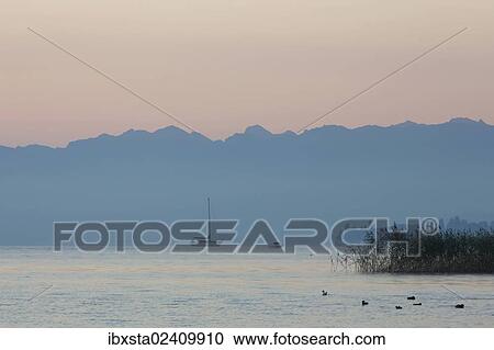 "Early morning mood in the port of Guettingen, Lake Constance, Switzerland, Europe, PublicGround, Europe" View Large Photo Image Stock Image - "Early morning mood in the port of Guettingen, Lake Constance, Switzerland, Europe, PublicGround, Europe". Fotosearch