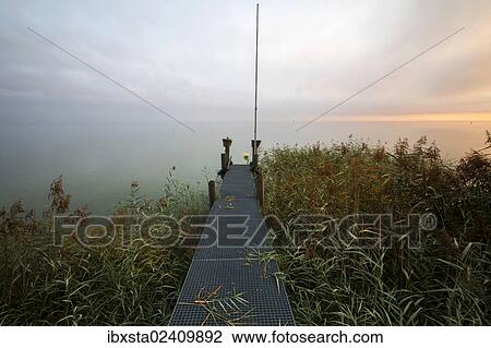 Stock Image - "Early morning mood on Lake Constance near Landschlacht, Switzerland, Europe, PublicGround, Europe". Fotosearch