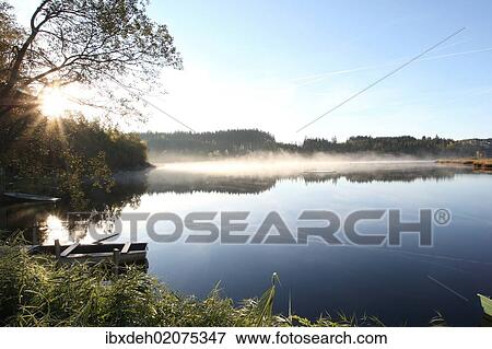 Stock Photo - "Early morning on a pond in a marshland, Notzenweiher pond, Oberallgaeu, Allgaeu, Bavaria, Germany, Europe". Fotosearch