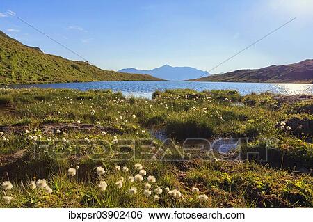 "Early morning on Lake Torsee, Zillertal valley, Tyrol, Austria, Europe" View Large Photo Image Stock Photograph - "Early morning on Lake Torsee, Zillertal valley, Tyrol, Austria, Europe". Fotosearch