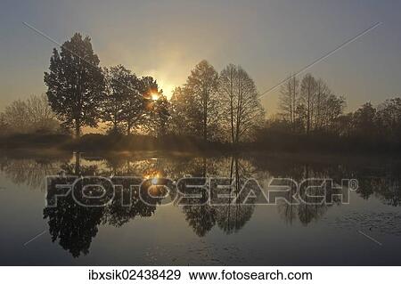 "Early morning, sunrise, pond area, trees, November morning, Mittelberg district, Biberach, Upper Swabia, Baden-Wuerttemberg, Germany, Europe" View Large Photo Image Stock Photo - "Early morning, sunrise, pond area, trees, November morning, Mittelberg district, Biberach, Upper Swabia, Baden-Wuerttemberg, Germany, Europe". Fotosearch