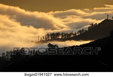 Stock Photo - "Early morning with cloud sea in the mountains in Sapa or Sa Pa, Lao Cai province, northern Vietnam, Vietnam, Southeast Asia, Asia". Fotosearch