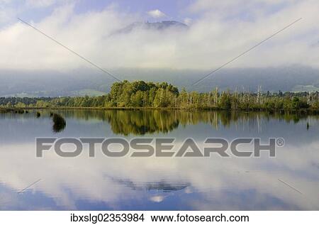 "Early morning with fog on moorland ponds, bog on the edge of the Alps, Nicklheim, Bavaria, Germany, Europe" View Large Photo Image Picture - "Early morning with fog on moorland ponds, bog on the edge of the Alps, Nicklheim, Bavaria, Germany, Europe". Fotosearch