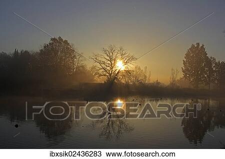 "Early morning with sunrise in a pond area, district of Mittelberg, Biberach, Upper Swabia, Baden-Wuerttemberg, Germany, Europe" View Large Photo Image Stock Image - "Early morning with sunrise in a pond area, district of Mittelberg, Biberach, Upper Swabia, Baden-Wuerttemberg, Germany, Europe". Fotosearch