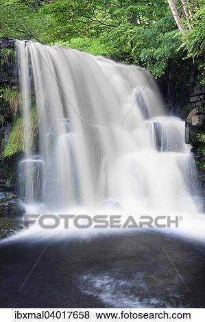 "East Gill Force waterfall, Yorkshire Dales National Park, England, United Kingdom, Europe" View Large Photo Image Stock Photo - "East Gill Force waterfall, Yorkshire Dales National Park, England, United Kingdom, Europe". Fotosearch