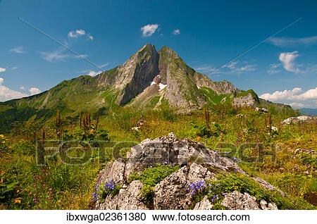 "East side of Hoefats Mountain, 2259m, Laufbacher Eck-Weg hiking trail, Allgaeu Alps, Allgaeu, Bavaria, Germany, Europe, PublicGround, Europe" View Large Photo Image Stock Image - "East side of Hoefats Mountain, 2259m, Laufbacher Eck-Weg hiking trail, Allgaeu Alps, Allgaeu, Bavaria, Germany, Europe, PublicGround, Europe". Fotosearch