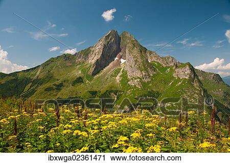 "East side of Hoefats Mountain, 2259m, Laufbacher Eck-Weg hiking trail, Allgaeu Alps, Allgaeu, Bavaria, Germany, Europe, PublicGround, Europe" View Large Photo Image Stock Image - "East side of Hoefats Mountain, 2259m, Laufbacher Eck-Weg hiking trail, Allgaeu Alps, Allgaeu, Bavaria, Germany, Europe, PublicGround, Europe". Fotosearch