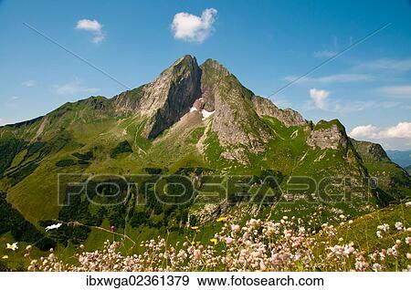 "East side of Hoefats Mountain, 2259m, Laufbacher Eck-Weg hiking trail, Allgaeu Alps, Allgaeu, Bavaria, Germany, Europe, PublicGround, Europe" View Large Photo Image Stock Photo - "East side of Hoefats Mountain, 2259m, Laufbacher Eck-Weg hiking trail, Allgaeu Alps, Allgaeu, Bavaria, Germany, Europe, PublicGround, Europe". Fotosearch