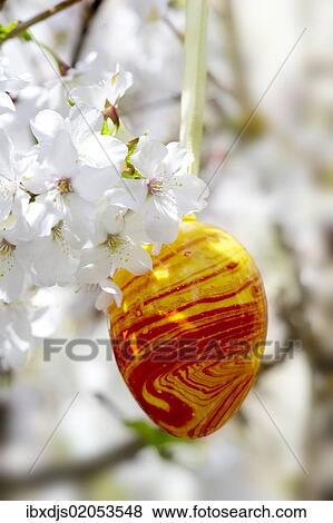 Easter egg and cherry blossoms View Large Photo Image Stock Photo - Easter egg and cherry blossoms. Fotosearch