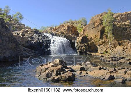 "Edith Falls in Nitmiluk National Park, Katherine Gorge National Park, Australia, Oceania" View Large Photo Image Stock Image - "Edith Falls in Nitmiluk National Park, Katherine Gorge National Park, Australia, Oceania". Fotosearch