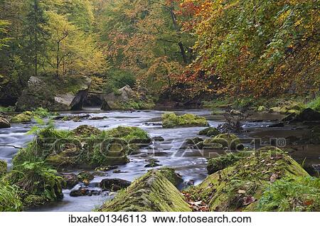 "Edmundova Sout? ¢ska gorge, Kamenice river, autumn, Bohemian Switzerland, Czech Republic, Europe" View Large Photo Image Stock Image - "Edmundova Sout? ¢ska gorge, Kamenice river, autumn, Bohemian Switzerland, Czech Republic, Europe". Fotosearch